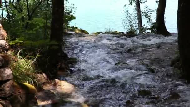 Beautifull landscape in Plitvice national park — Stock Video