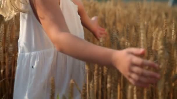 Petite fille sur un champ de céréales — Video