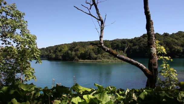 Beautifull landscape in Plitvice national park — Stock Video