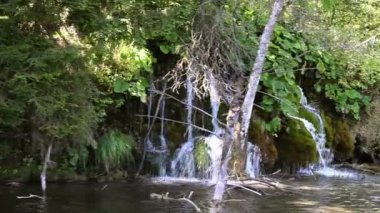 milli park plitvice-Hırvatistan'daki küçük bir şelale fotoğrafını yukarıya kapatmak