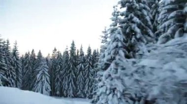 güzel kış zaman çevresinde sürüş sırasında