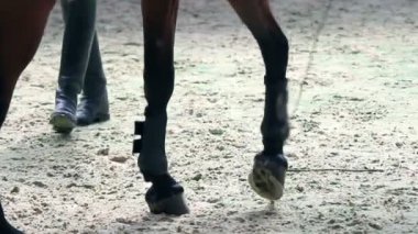 Genç kız için profesyonel jokey eğitimi