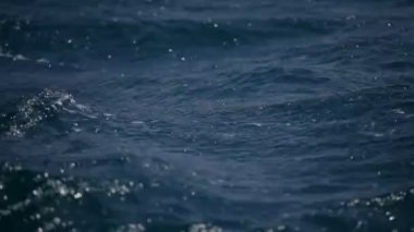 tehlikeli dalgalı Denizi