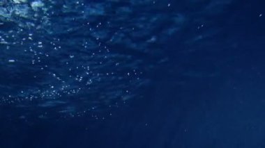 kadın uzun sarı elbiseli su altında yüzmek