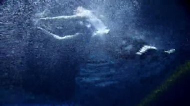 vrouw in kleren zwemmen onder water