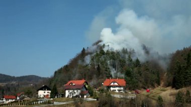 Ormanda Sigara İçmek