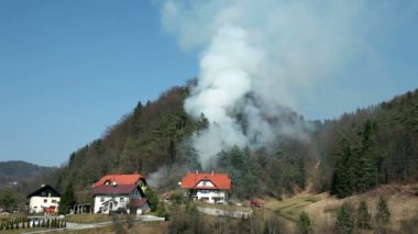 Ormanda Sigara İçmek