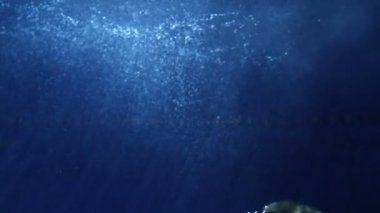 çok sayıda küçük kabarcıklar ile sualtı yüzey