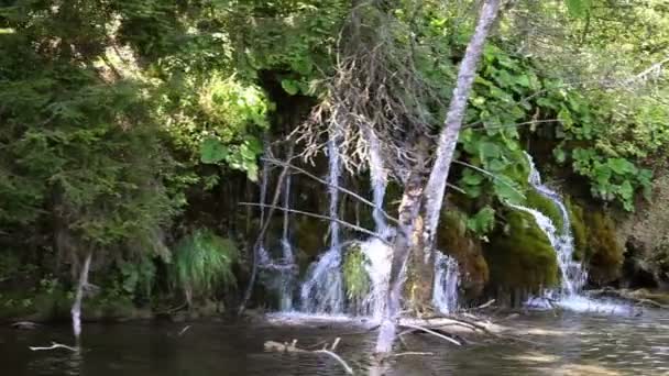 Nära upp skott av ett litet vattenfall i nationalparken plitvice-Kroatien — Stockvideo