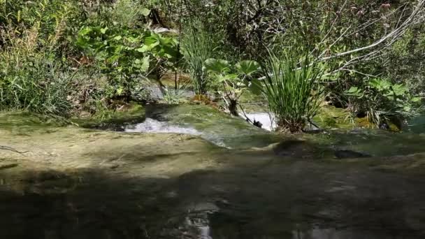 El tiro detallado de la orilla de los lagos — Vídeo de stock