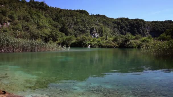 Piękny krajobraz w Parku Narodowym Jezior Plitwickich — Wideo stockowe