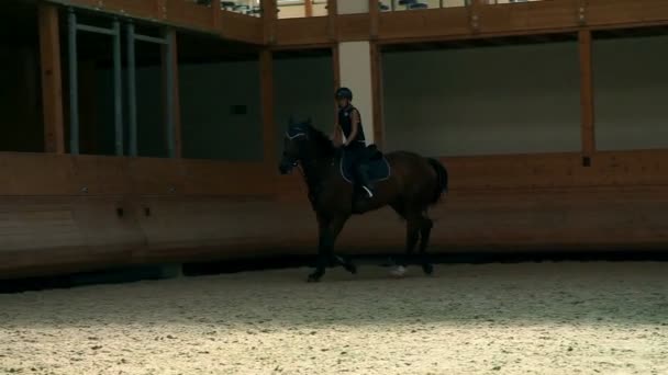 Большой зал для обучения юной девушки верховой езде для конного спорта — стоковое видео