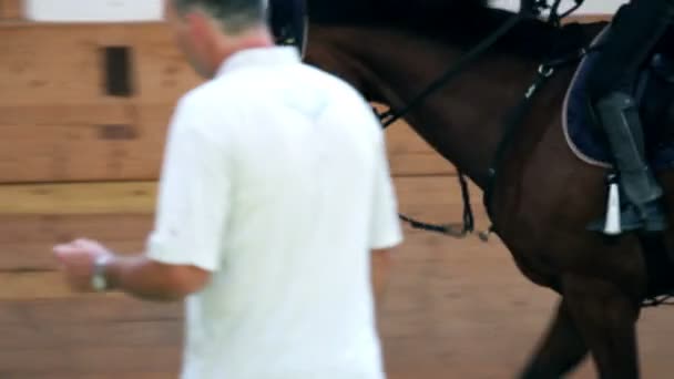 Young girl training for professional jockey — Stock Video