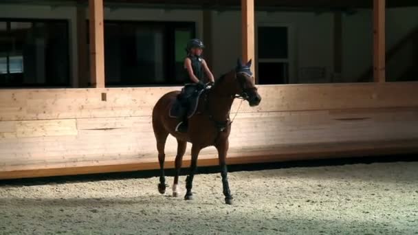 Meisje paardrijden paard en leren met mannelijke trainer — Stockvideo