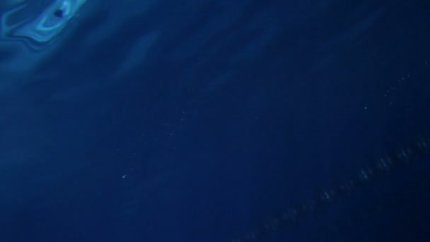 Víz alatti kék felület buborékok — Stockvideo