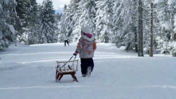 Little girl pulling sleigh — Stock Video