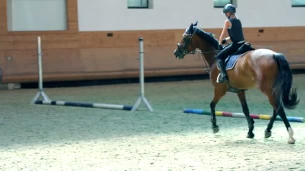 Jong meisje opleiding voor professionele jockey — Stockvideo