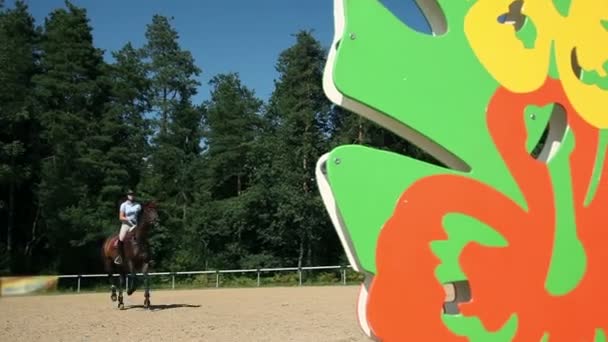 Women jockey learning jumping over obstacles — Stock Video