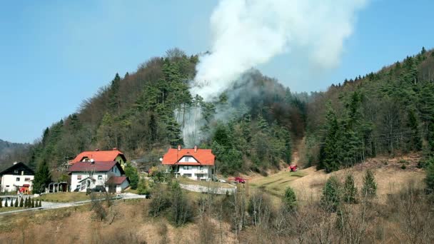 Вид издалека, дым в лесу возле домов — стоковое видео