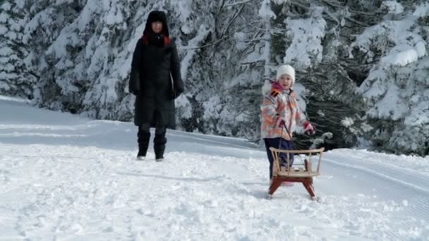 Niña tirando del trineo en los alrededores de invierno — Vídeos de Stock