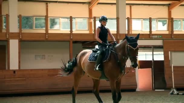 velký sál pro školení mladá dívka koni jezdectví