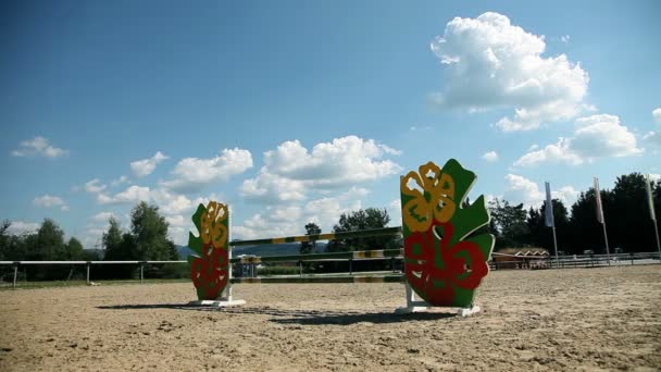 Mujer jockey learning saltar por encima de obstáculos — Vídeos de Stock