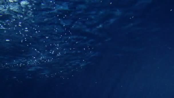 Frau schwimmt im langen gelben Kleid unter Wasser — Stockvideo