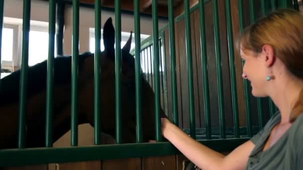 Frau streichelt dunkles Pferd in großem Stall — Stockvideo