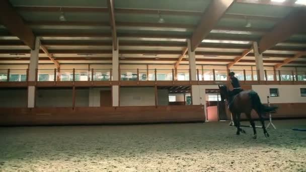 Big hall for training young girl riding horse for equestrianism — Stock Video