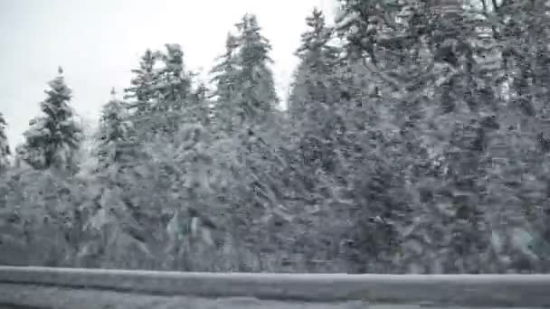 Een weg en rijden op een snelweg in de winter in de winter — Stockvideo