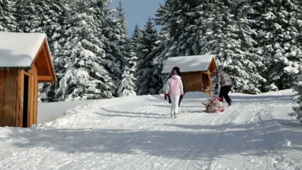 Family enjoying winter time walking around — Stock Video