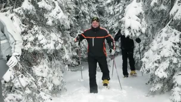 Grupo de pessoas desfrutando de tempo de inverno — Vídeo de Stock