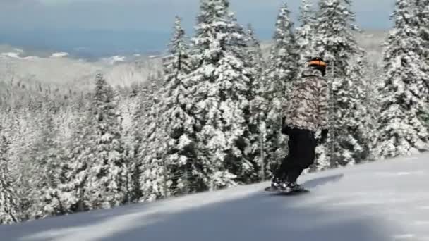 Зимові види спорту — стокове відео