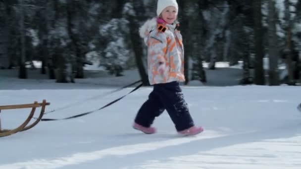 Küçük kız çekerek atlı kızak — Stok video
