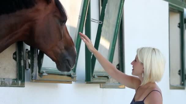Mulher tocando cabeça de cavalos — Vídeo de Stock
