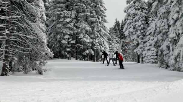 Група людей, що катаються на лижах в ідилічному зимовому оточенні — стокове відео