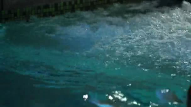 Jeune couple dans grande piscine — Video