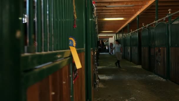 Stora stall med massor av hästar — Stockvideo