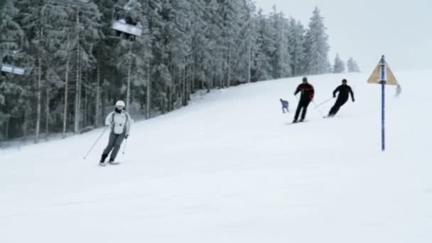 Группа пожилых людей катается на лыжах зимой — стоковое видео