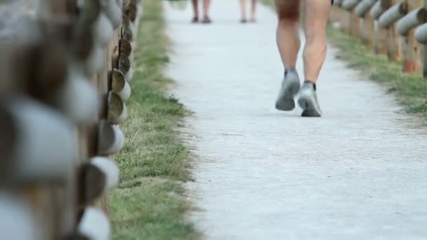 Mensen recreatively joggen in de natuur — Stockvideo