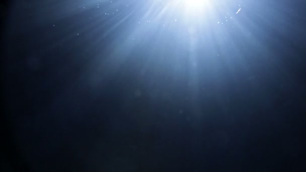 Permukaan bawah air dengan gelembung naik kecil — Stok Video