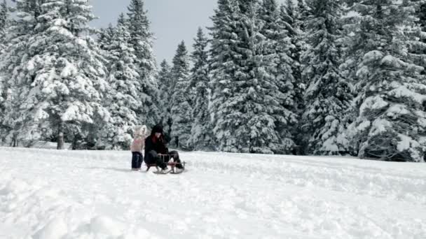 Moeder, dochter probeert te sleddge op koude dag — Stockvideo