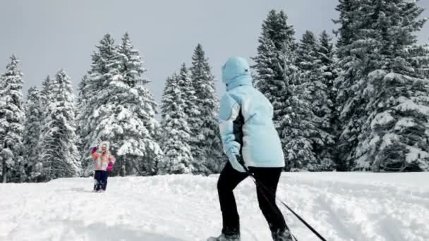 Kind, jonge vrouw slee trekken op zonnige dag — Stockvideo