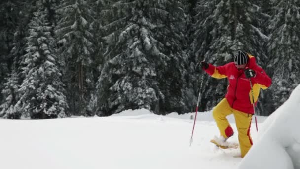 Grupo de pessoas desfrutando de tempo de inverno — Vídeo de Stock