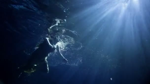 Mulher nadando debaixo de água em vestido amarelo longo — Vídeo de Stock