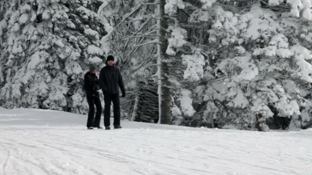 Casal andando na estrada nevada — Vídeo de Stock