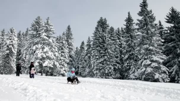 Две женщины и маленькая девочка веселятся зимой — стоковое видео