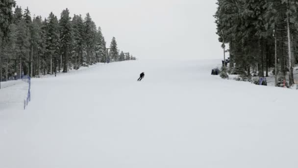 一群人在田园冬季滑雪 — 图库视频影像