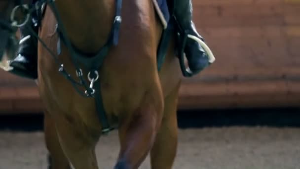 Young girl training for professional jockey — Stock Video