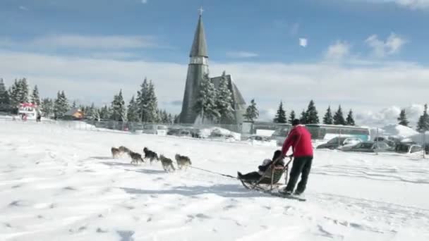 Sleden met huskies in de idyllische winter — Stockvideo